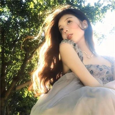 藏獒多吉